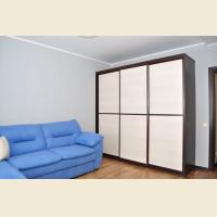 Шкафы-купе фасады лдсп