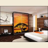 Шкафы-купе с фотопечатью