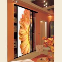 Шкафы-купе с фотопечатью