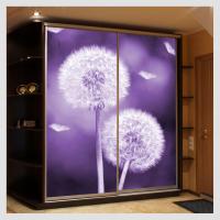 Шкафы-купе с фотопечатью