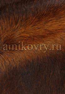 Триколор коричневый