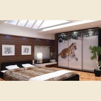 Шкафы-купе с фотопечатью