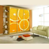 Шкафы-купе с фотопечатью