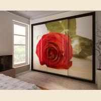 Шкафы-купе с фотопечатью