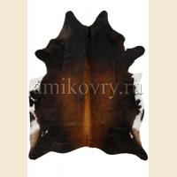 Триколор коричневый