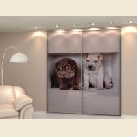 Шкафы-купе с фотопечатью