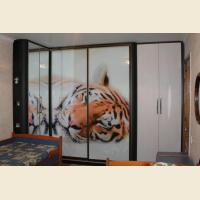 Шкафы-купе с фотопечатью