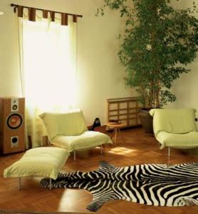 Зебра натуральная в интерьере