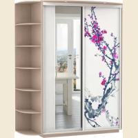 Шкафы-купе с фотопечатью